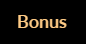 Bonussektion