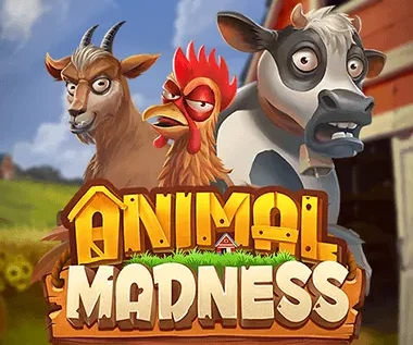 Animal Madness