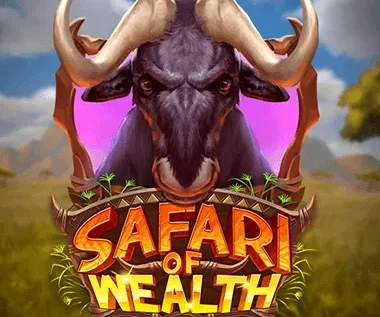 Safari of Wealth